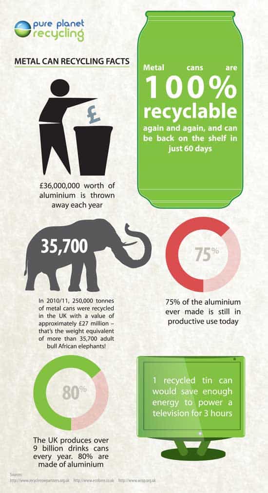 can recycling facts infographic